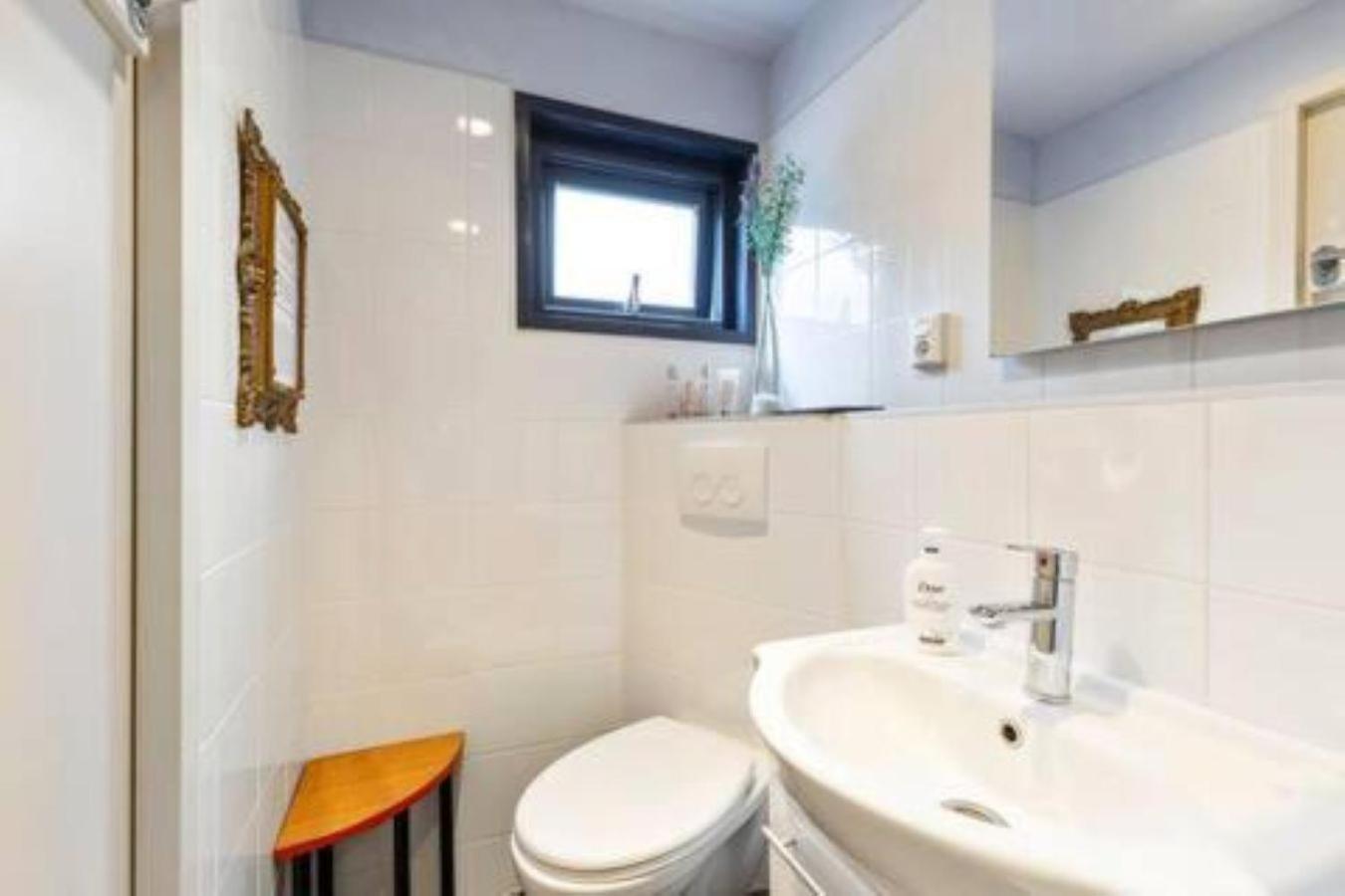 Authentic Dutch Houseboat In Zuid