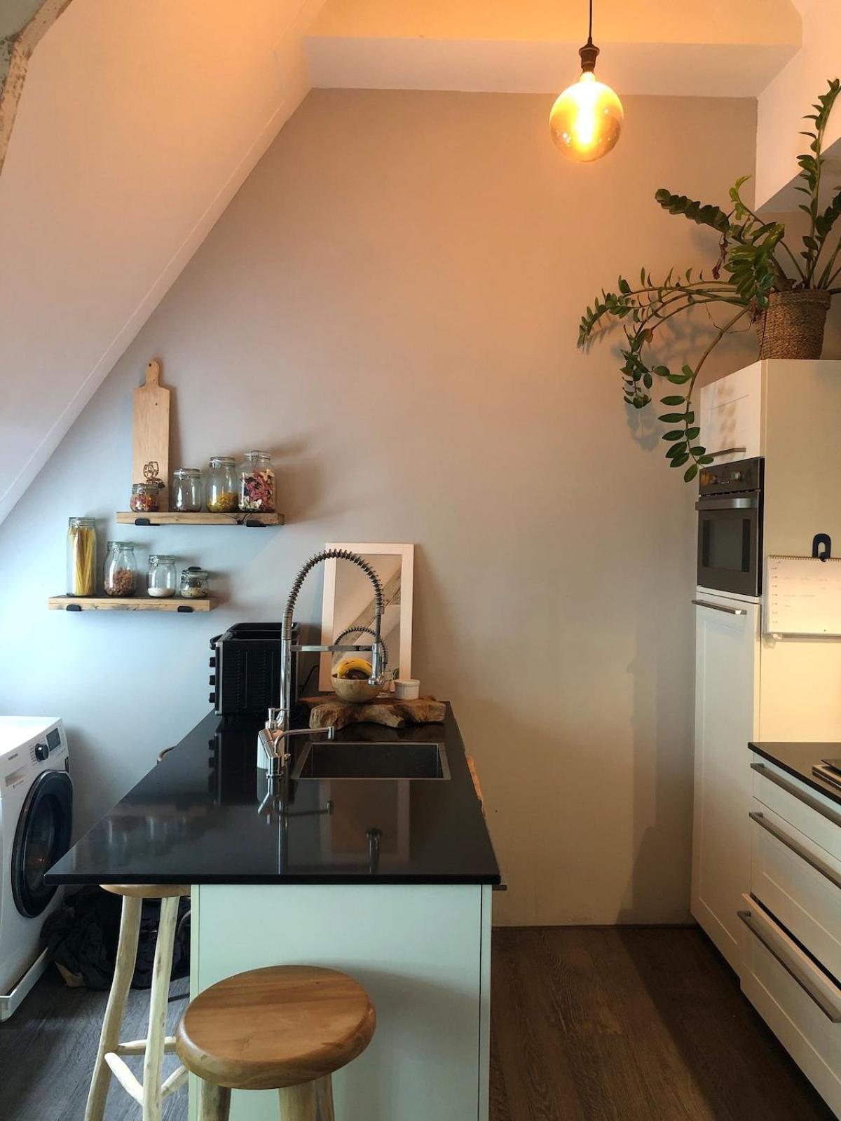 Apartment Cozy With Large Roof Terrace Amsterdam