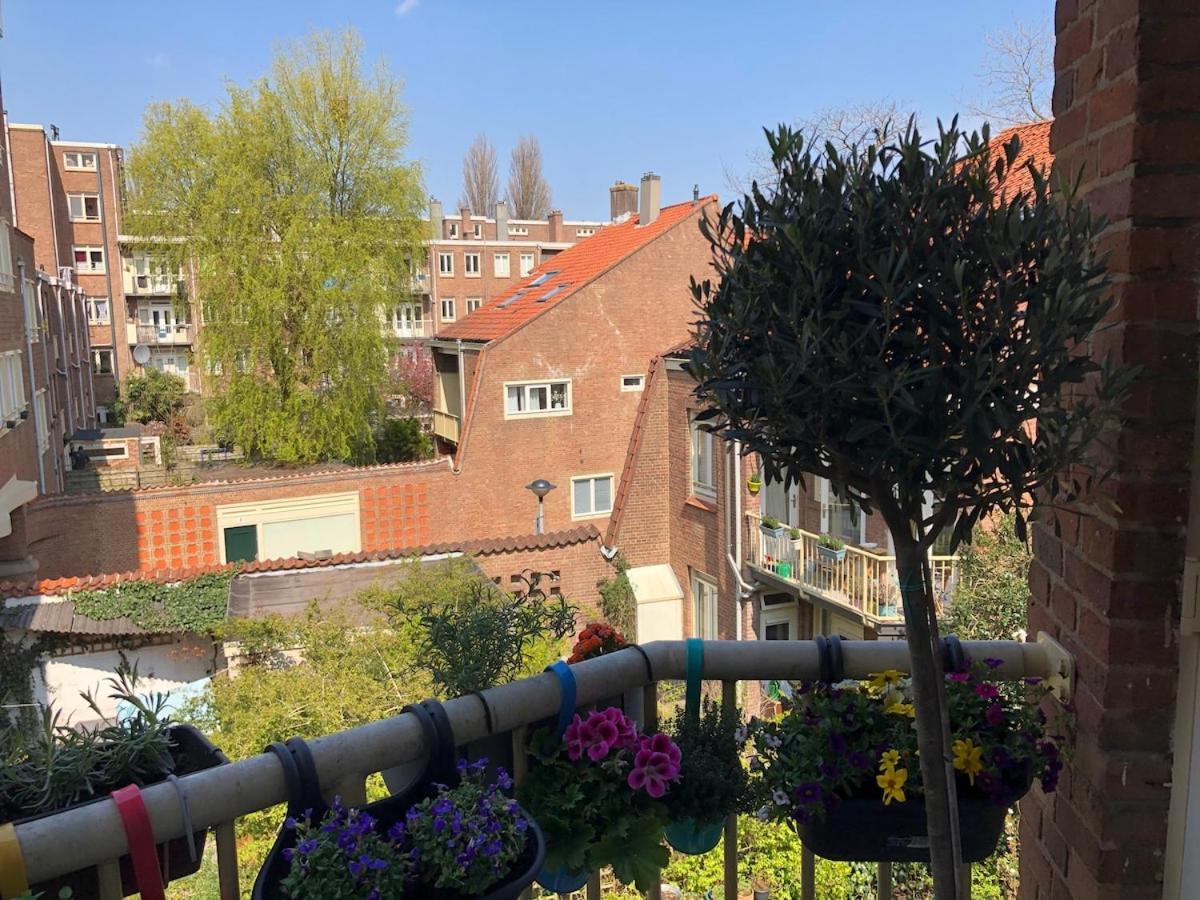 Beautiful Local In The Heart Of Apartment *