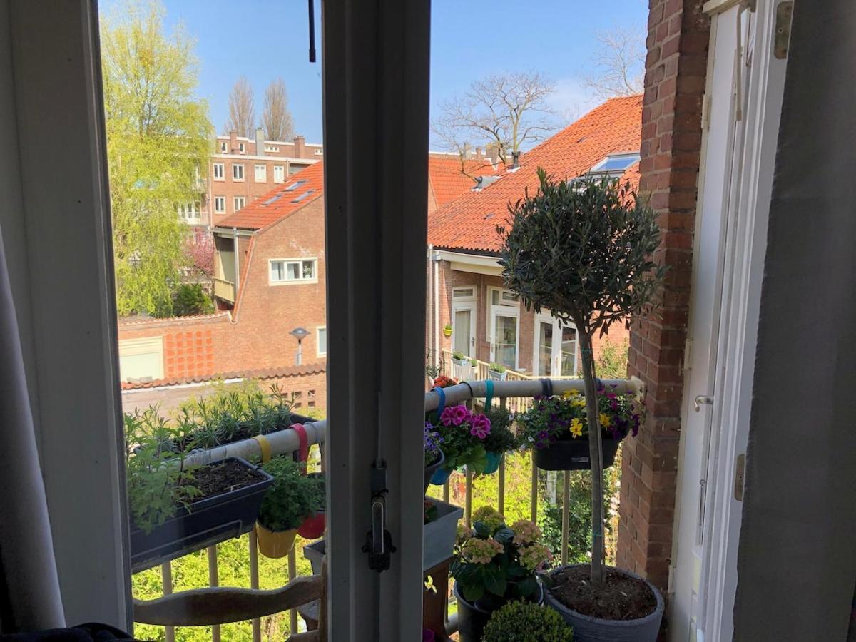 Apartment Beautiful Local In The Heart Of Amsterdam