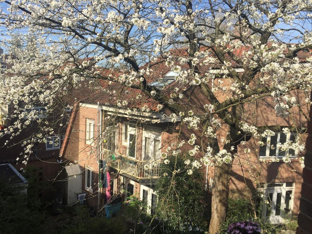 Beautiful Local In The Heart Of Apartment Amsterdam