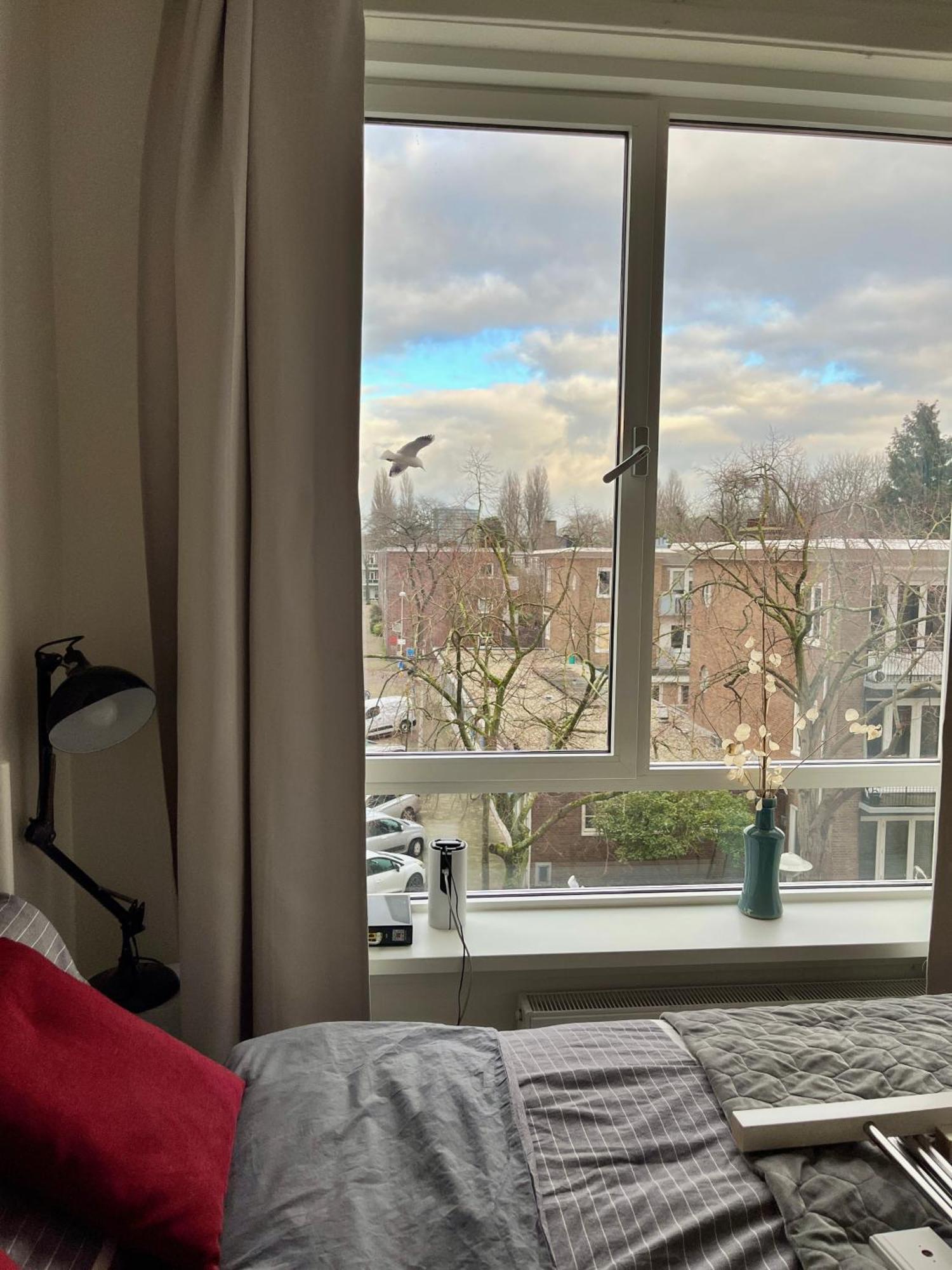 Stunning Artist Zen At Heart Of Bed & Breakfast
