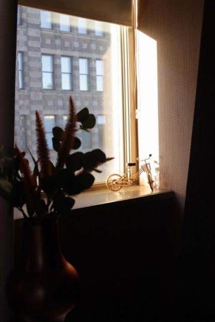 Hotel Dream 3*