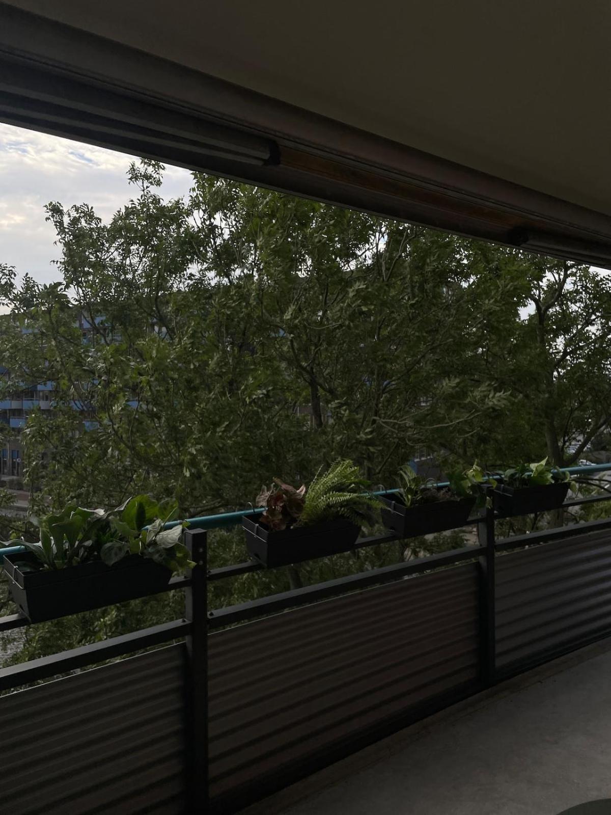 Large West With Balcony Apartment Amsterdam
