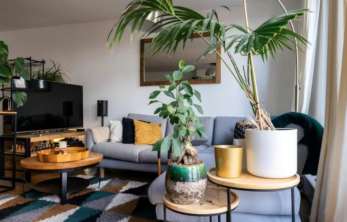 Spacious With Roofterrace By Vondelpark Apartment Amsterdam