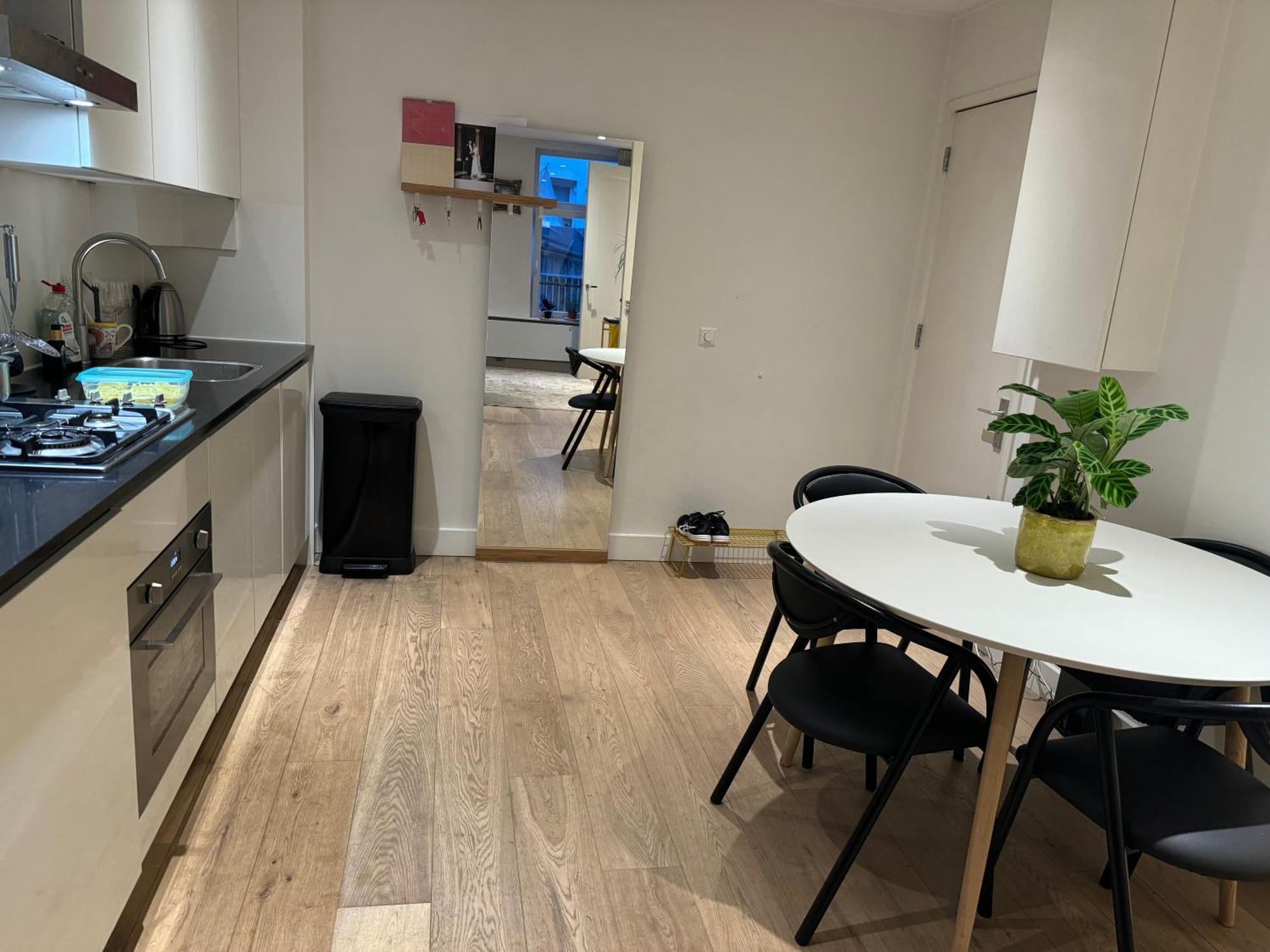 Apartment In Oude-pijp *
