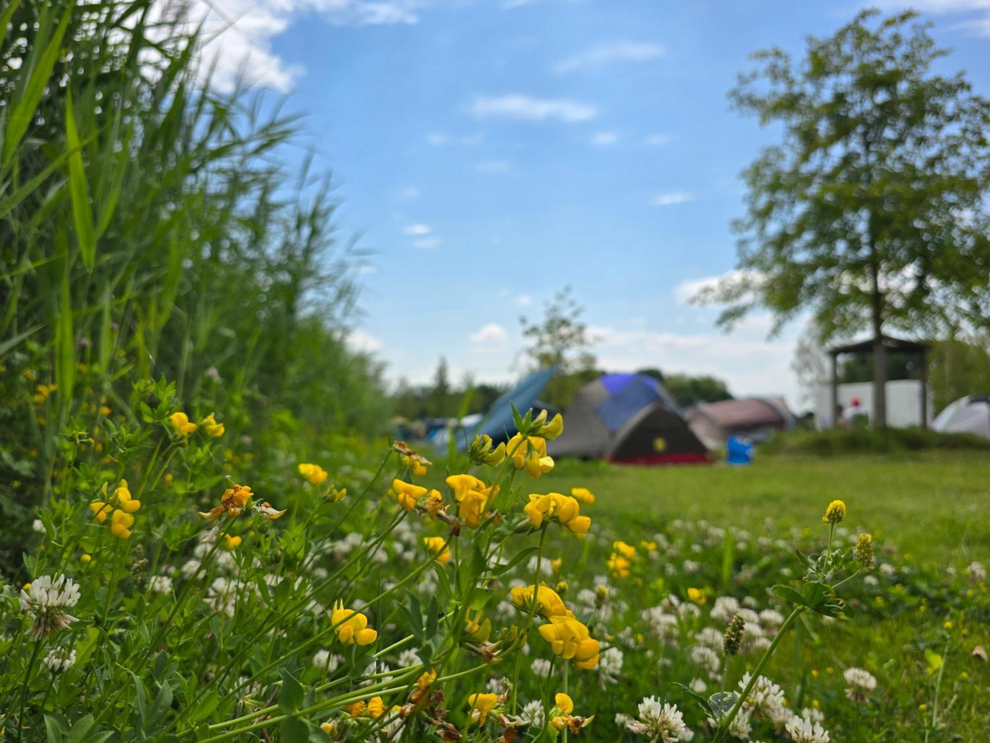 Zeeburg Acampamento 3*
