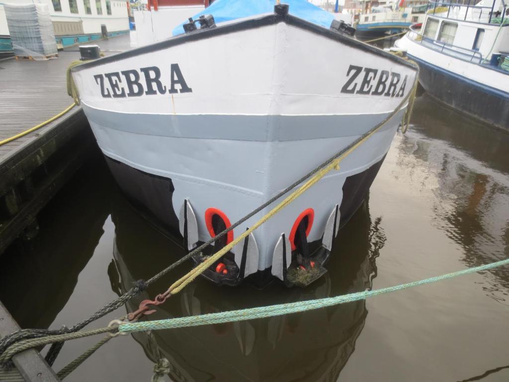 Zebra Amsterdam