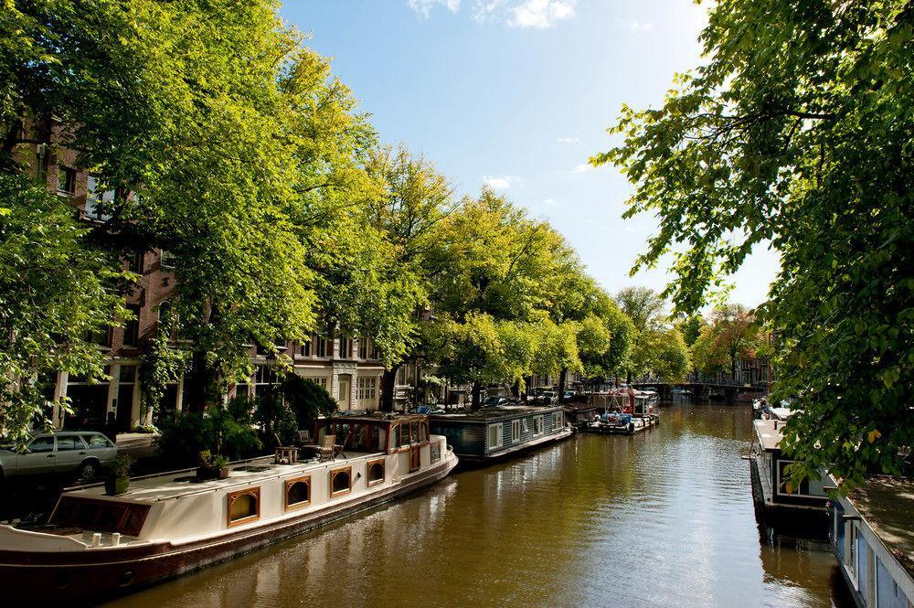 Tulips In The Heart Of * Amsterdam