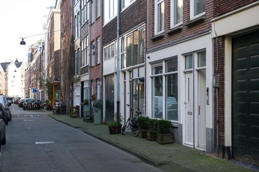 Tulips In The Heart Of Apartment *