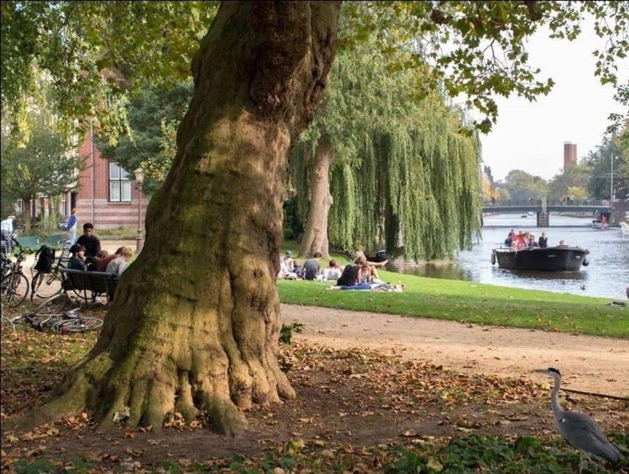 Perfect - Heart Of Amsterdam