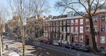 Tulip Apartment