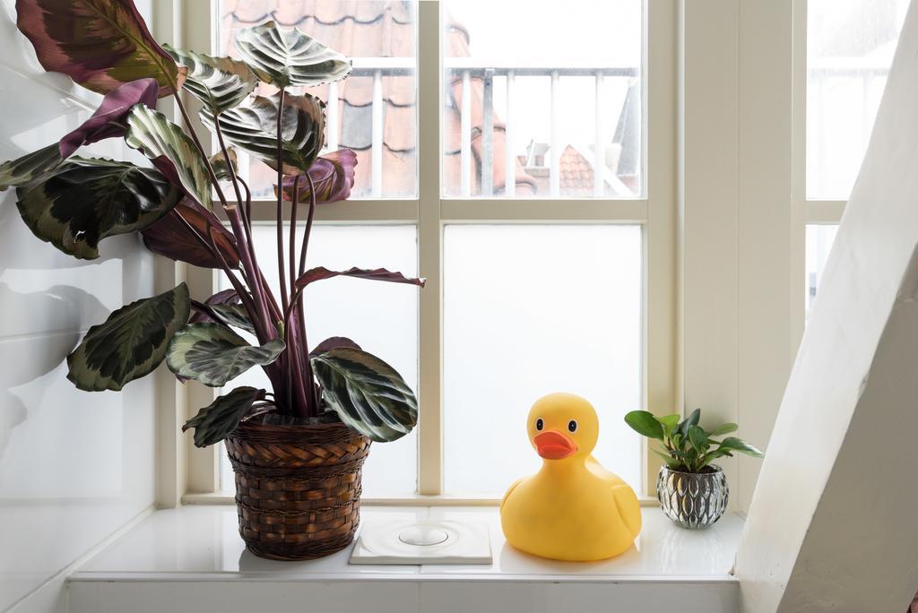 Séjour chez l'habitant Rembrandt Studio's Amsterdam