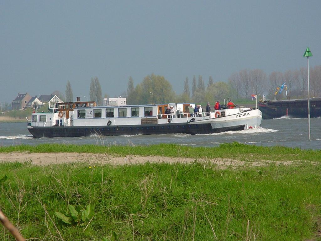 Zebra Amsterdam