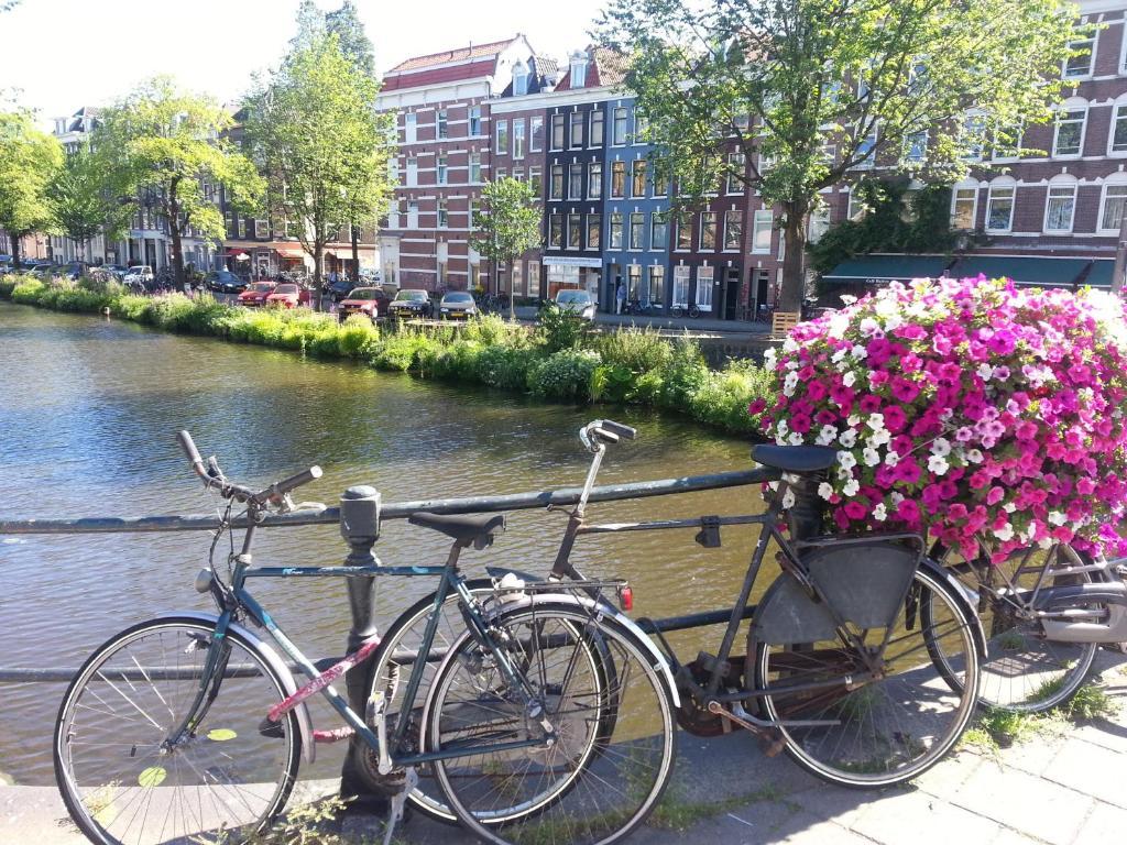 Alexander's Amsterdam