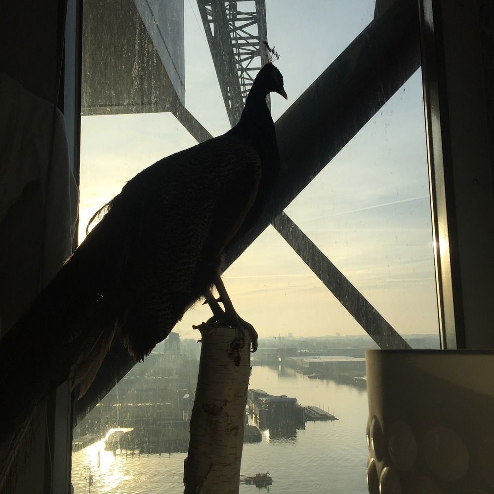 Faralda Crane Hotel