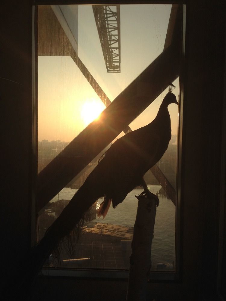 Hotel Faralda Crane