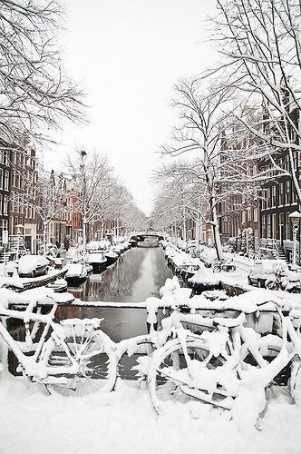 Studio Bloemgracht