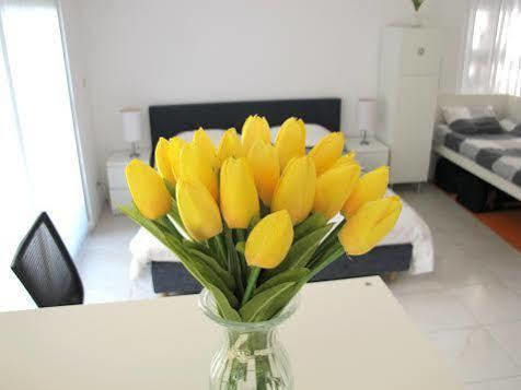 Bed & Breakfast Ibiza Amsterdam