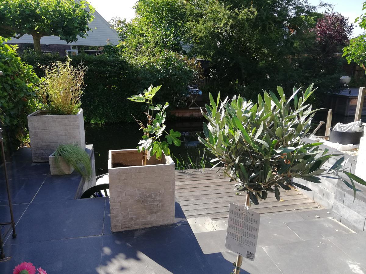 Staywell Free Parking Appartement