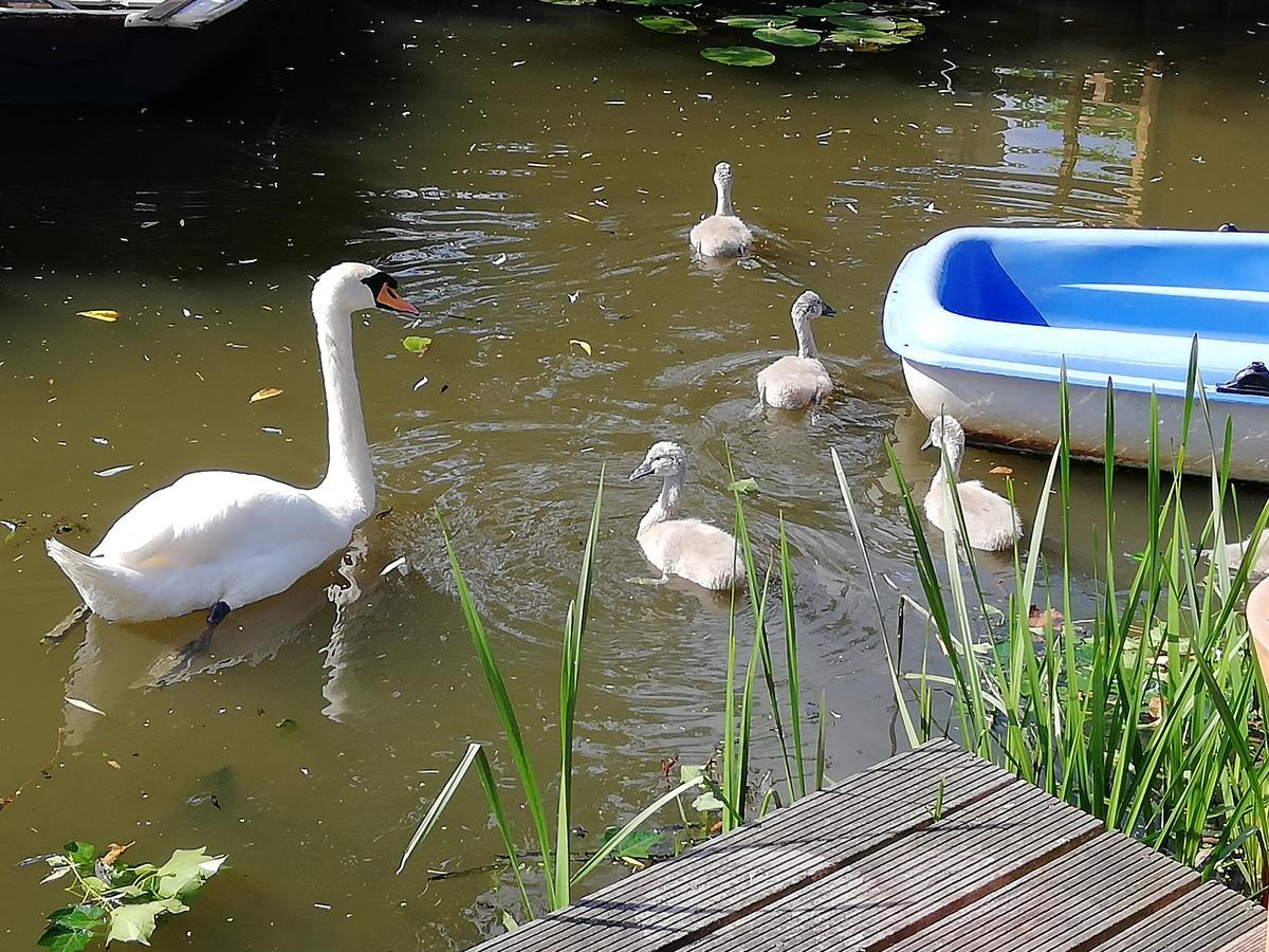 Appartement Staywell Free Parking *
