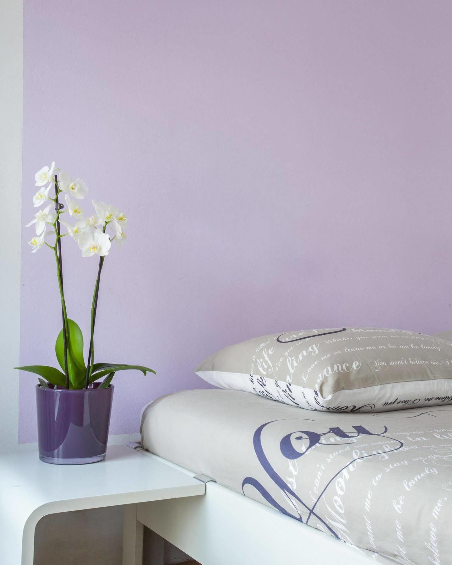 Kuwadro Guesthouse Centrum Bed & Breakfast Amsterdam