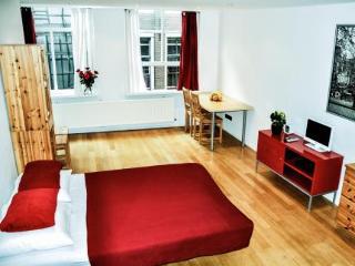 Apartment Red Light Studio *