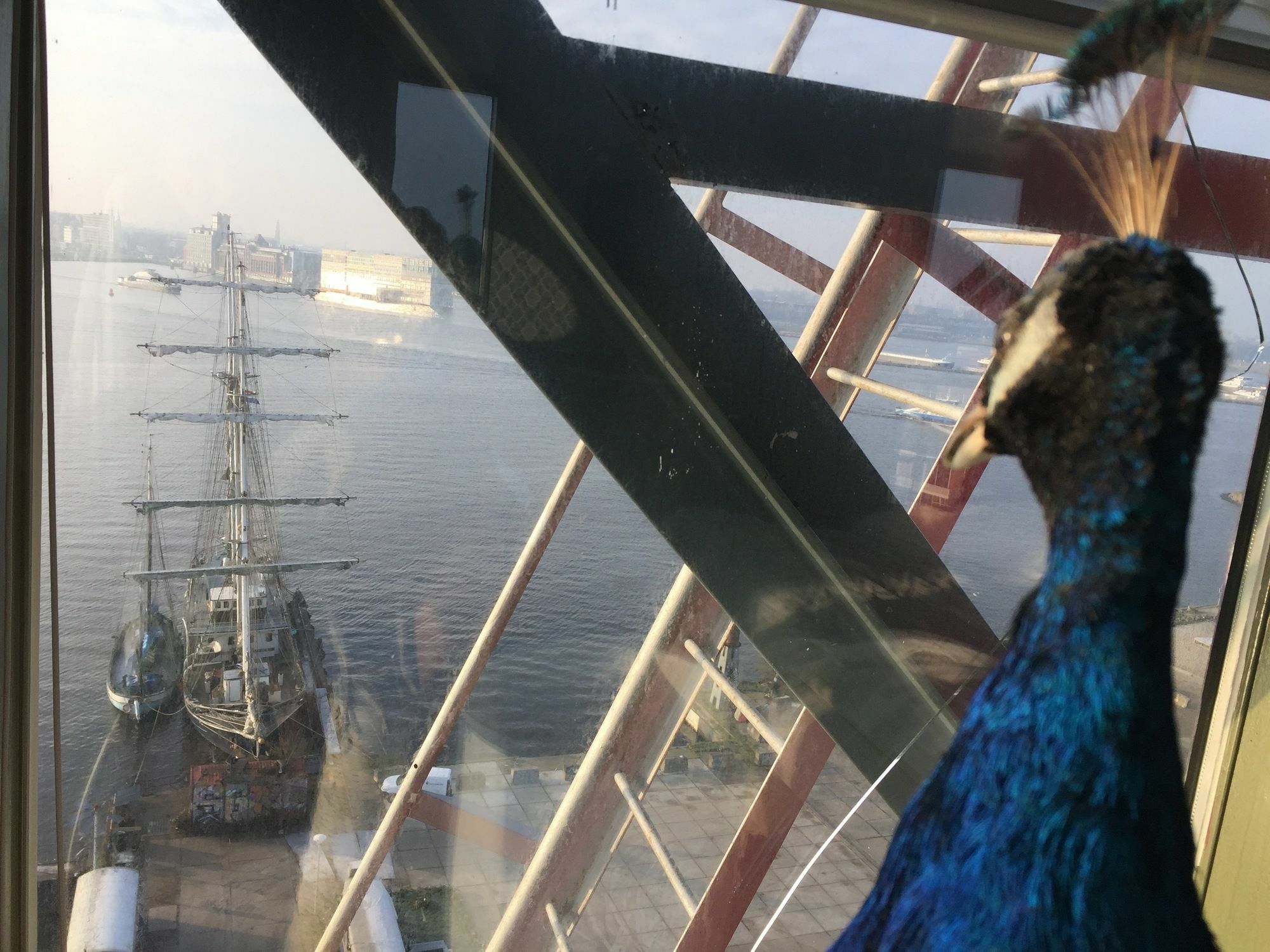 Faralda Crane 5* Amsterdam