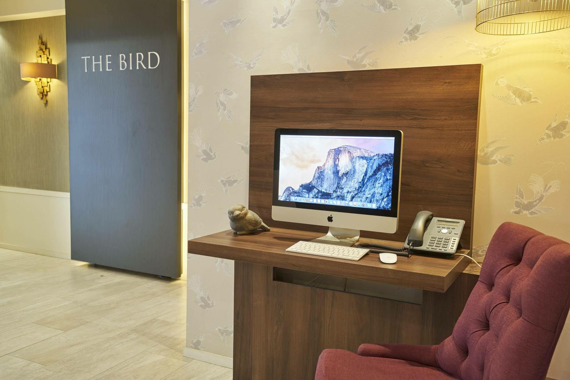The Bird 3*