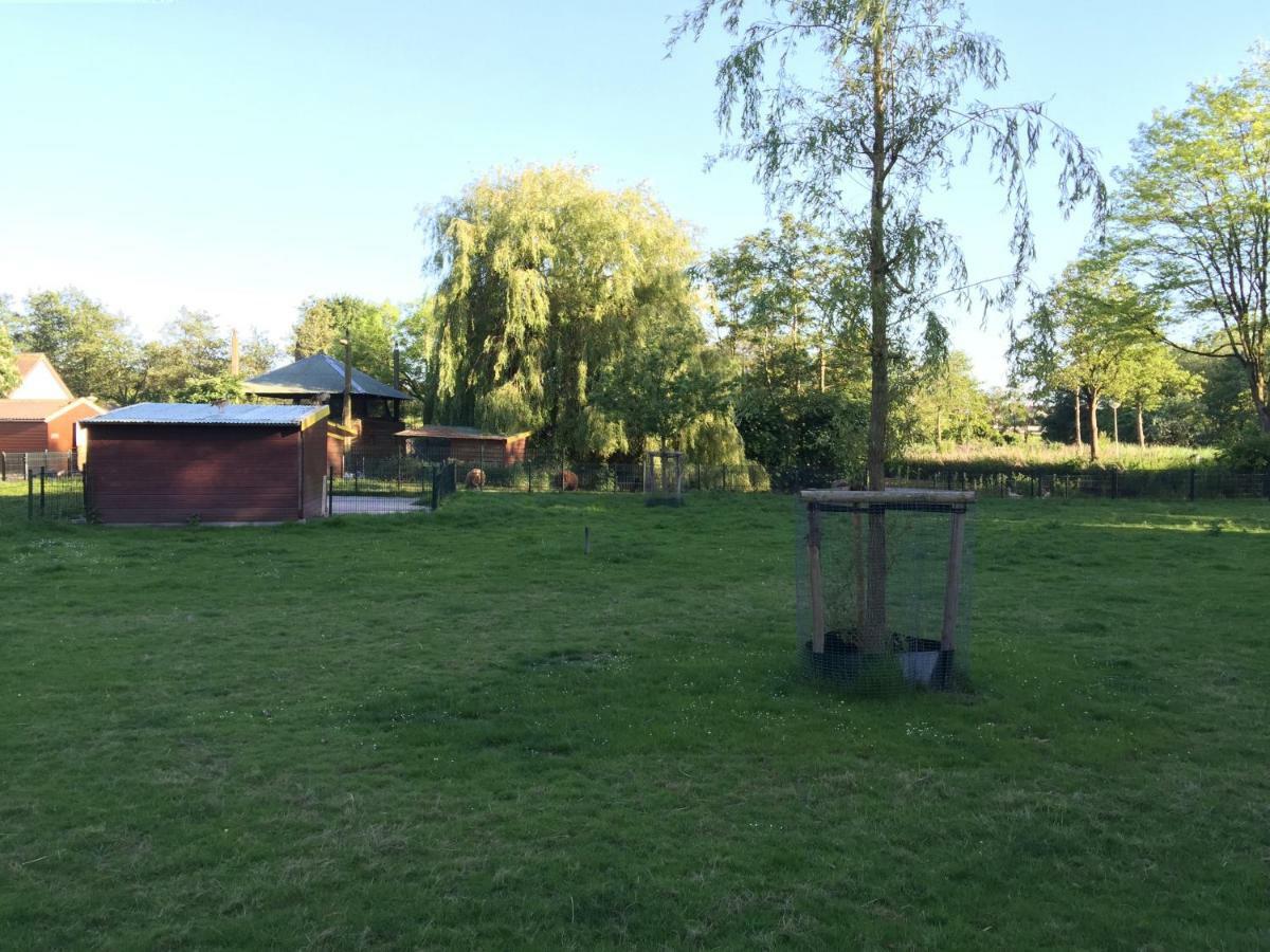 Reigersbos Bed & Breakfast