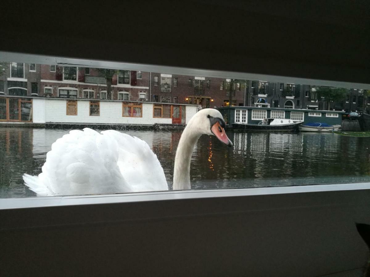 Botel Luxurious 110m² 3br Houseboat In Centre! *