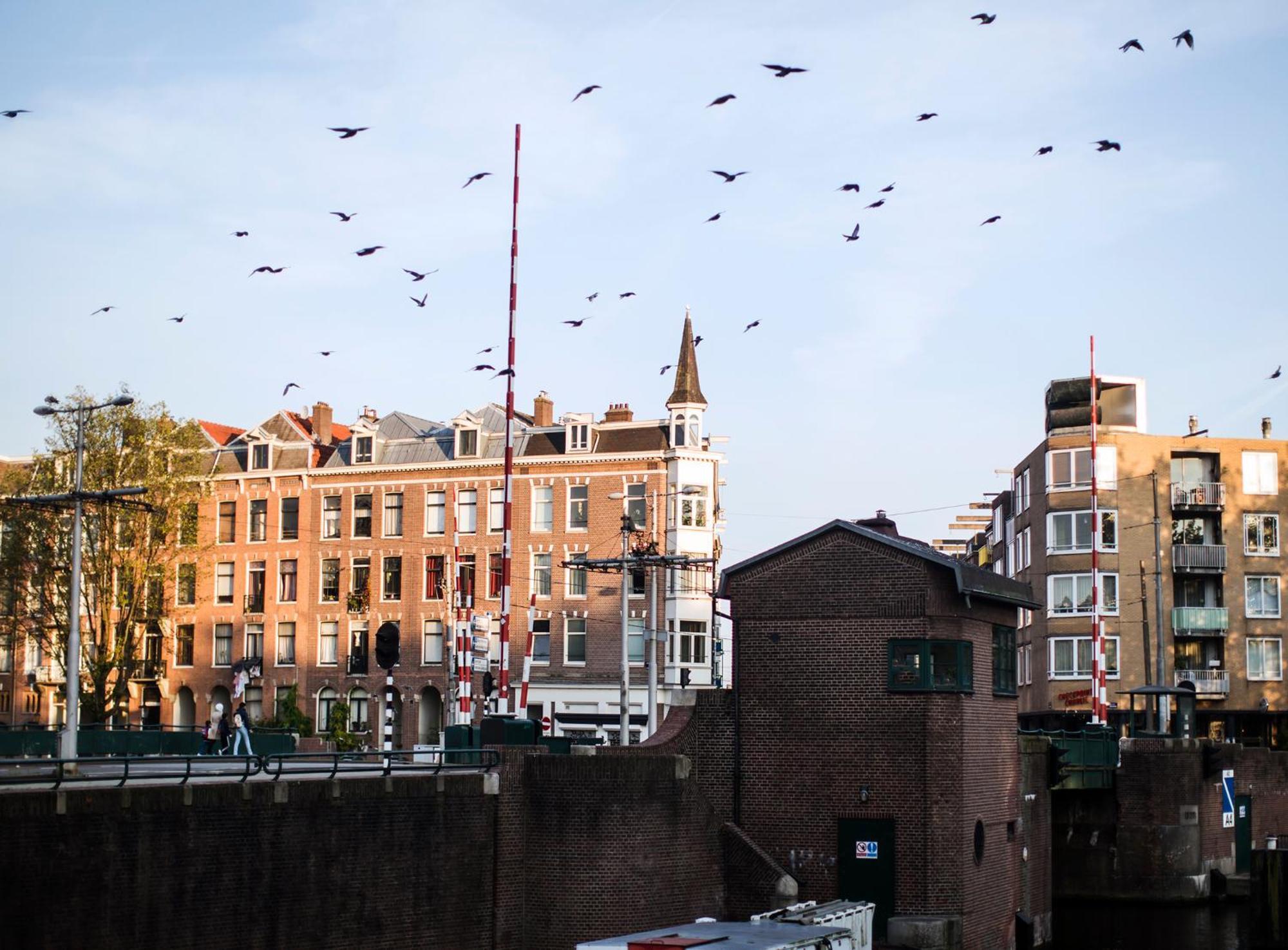 Sweets - Kattenslootbrug Apartment Amsterdam