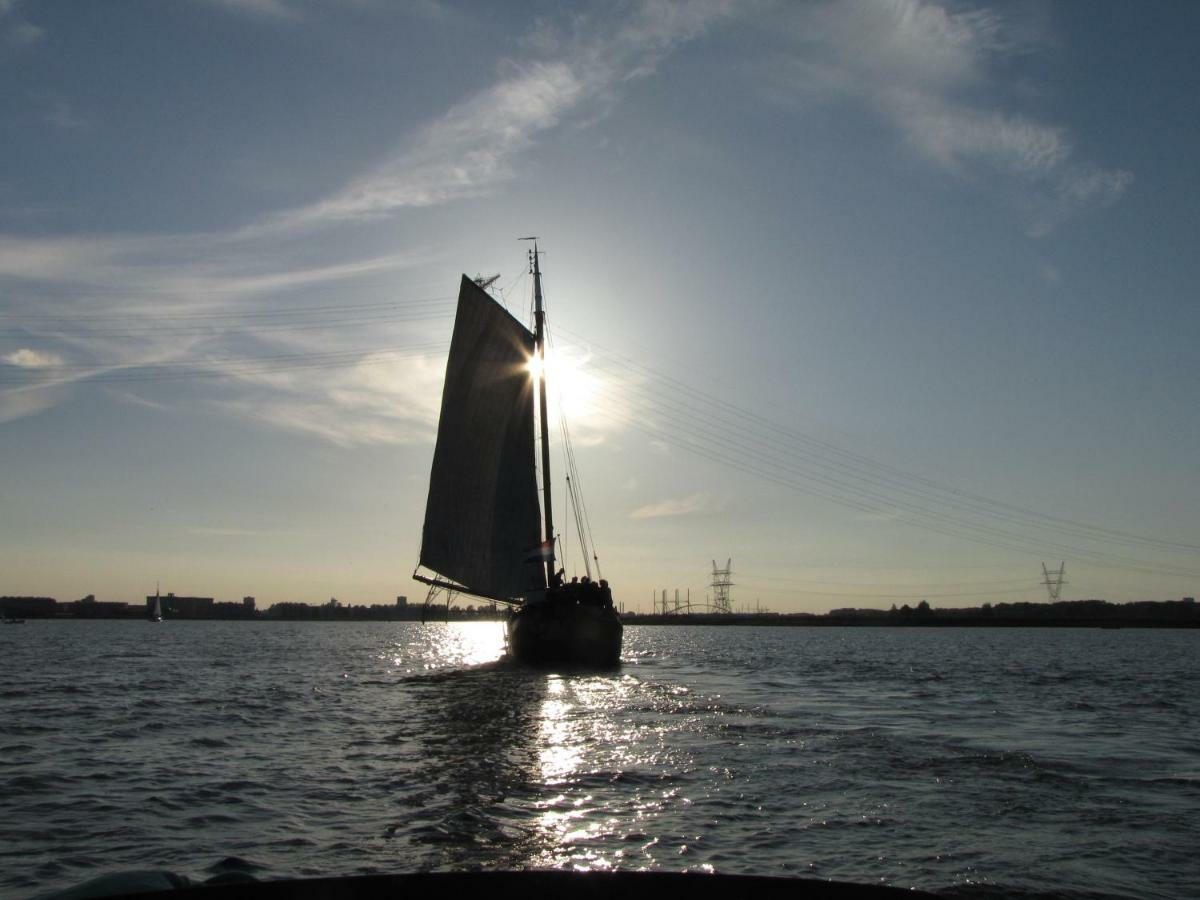 Authentic Ship 