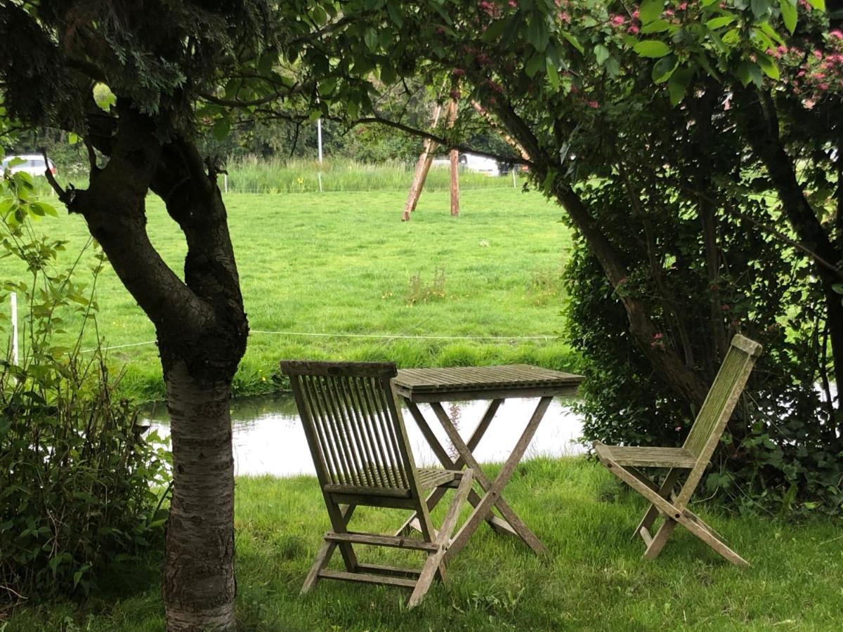 Bed & Breakfast B&B Bloom 2*