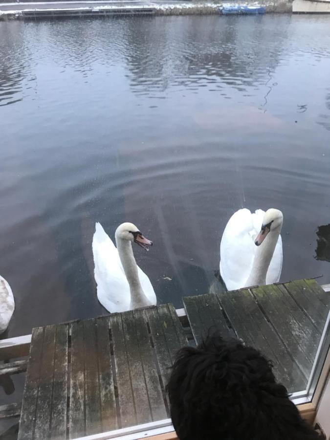 Frühstückspension Morpheus Amsterdam