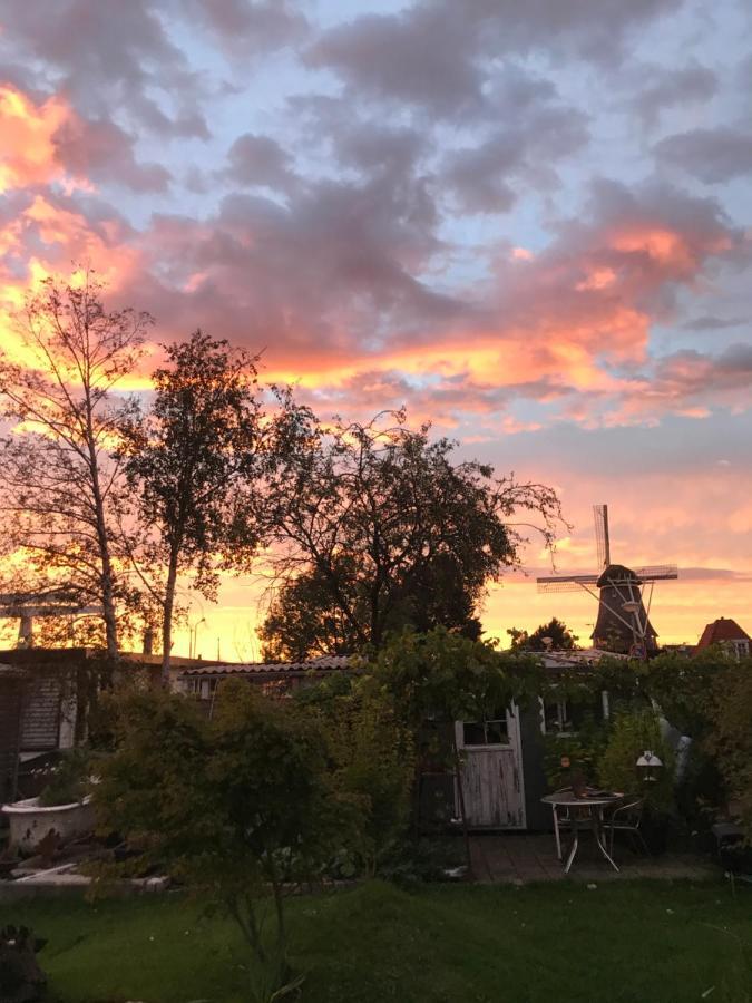 Morpheus Bed & Breakfast Amsterdam