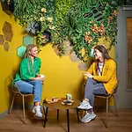 The Bee Hostel