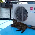 Houseboat Ms 3 Gebroeders