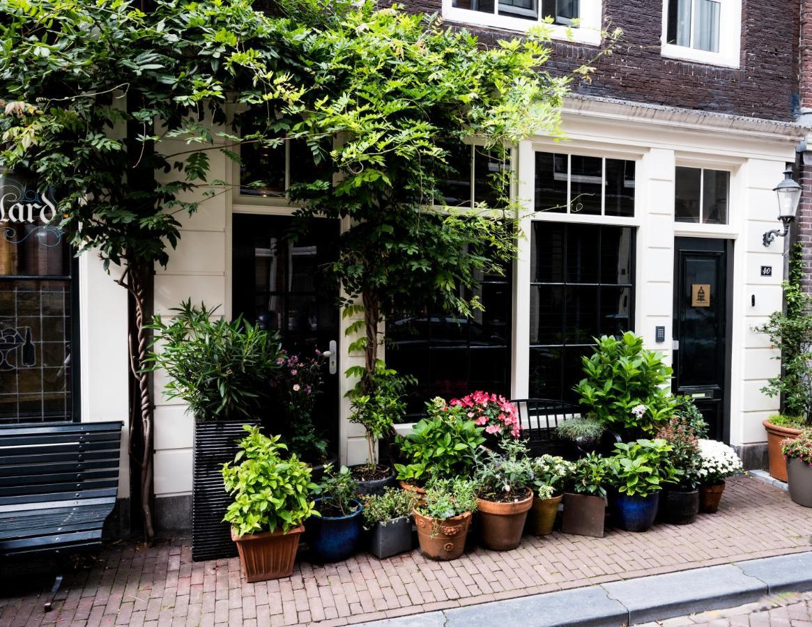 The Blossom House Guest house 4*