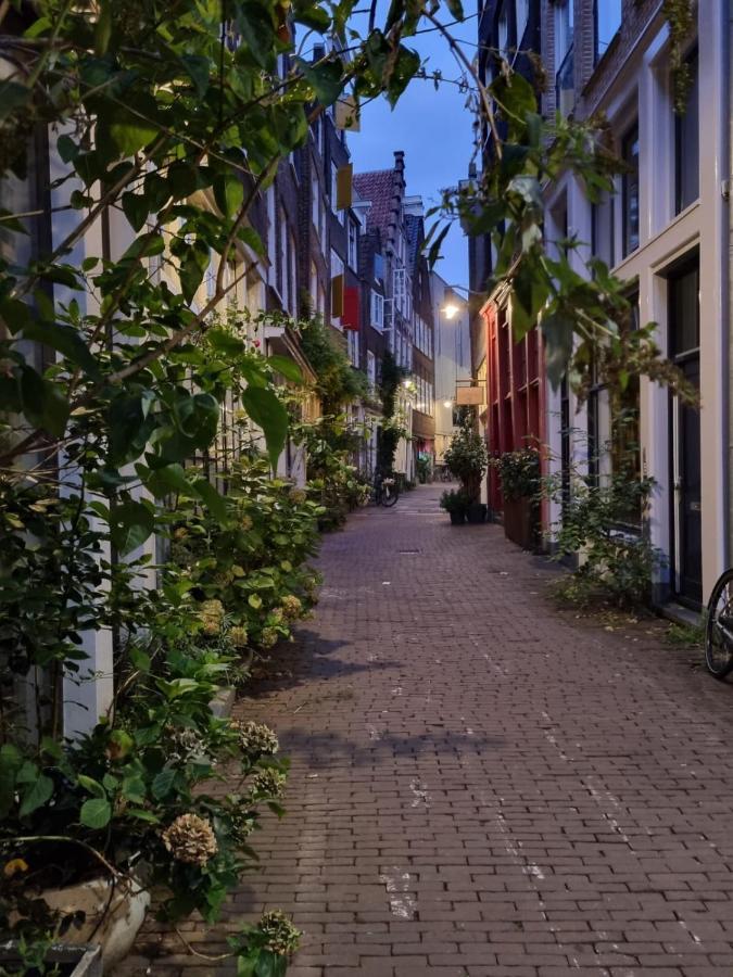 Here's Lucy Amsterdam