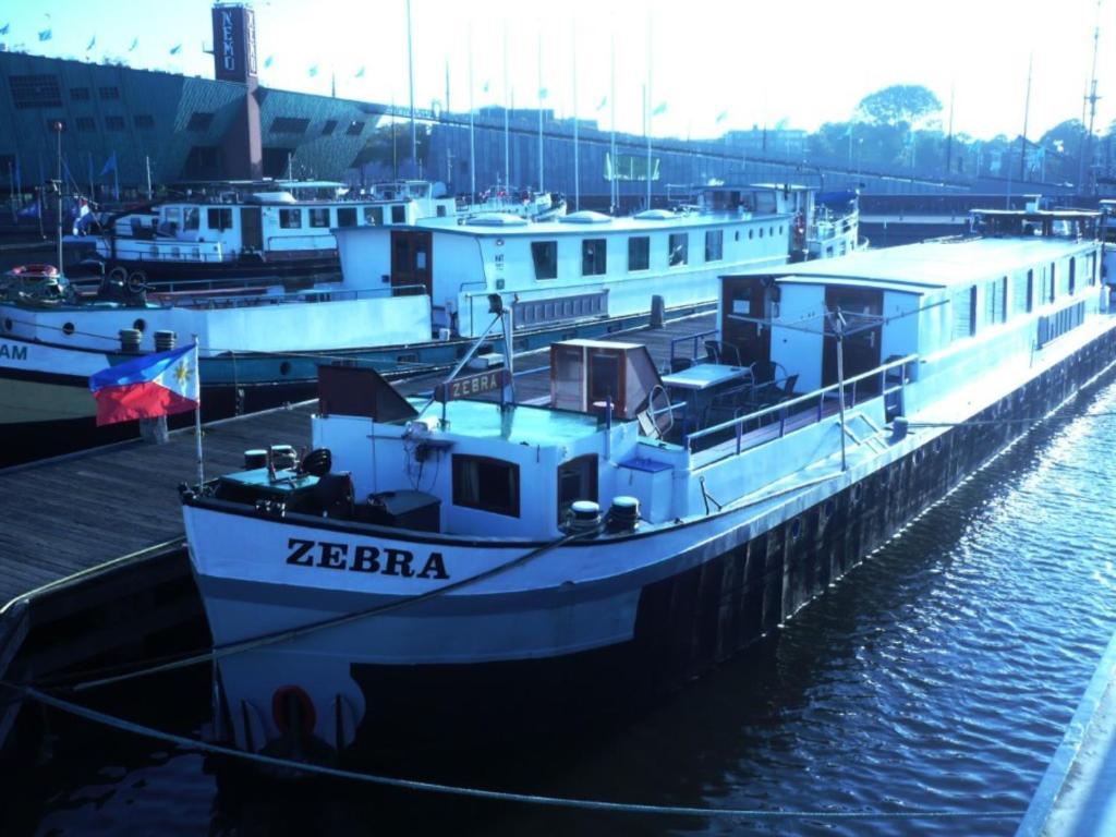 Zebra