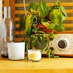 B&B La Vie En Roos Amsterdam