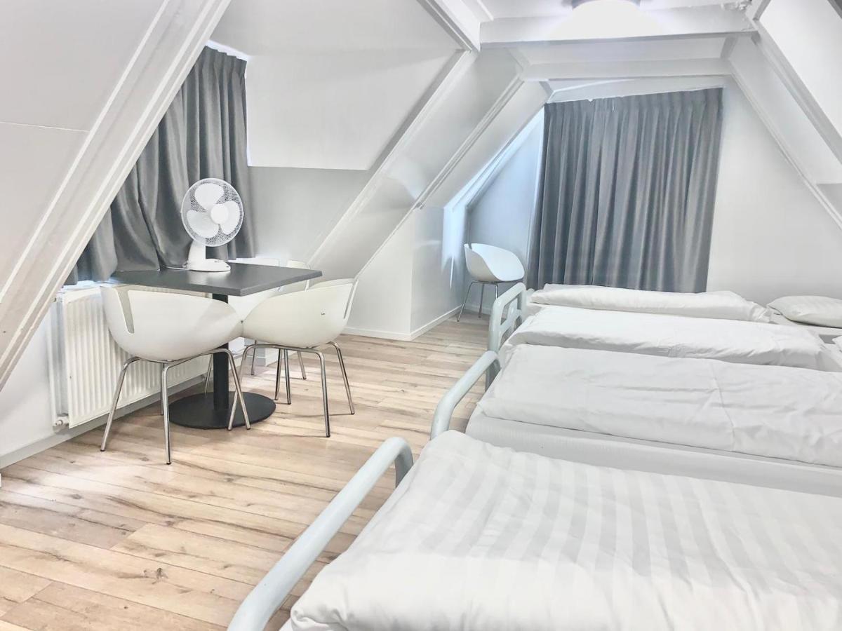 The White Tulip Albergue