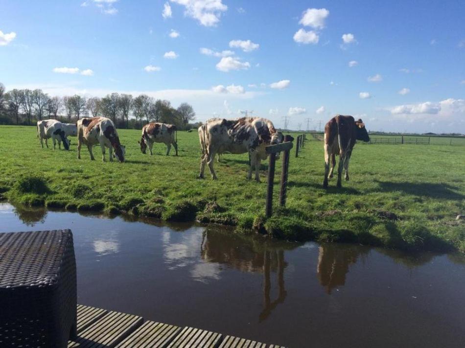 Waterlands Genoegen Bed & Breakfast