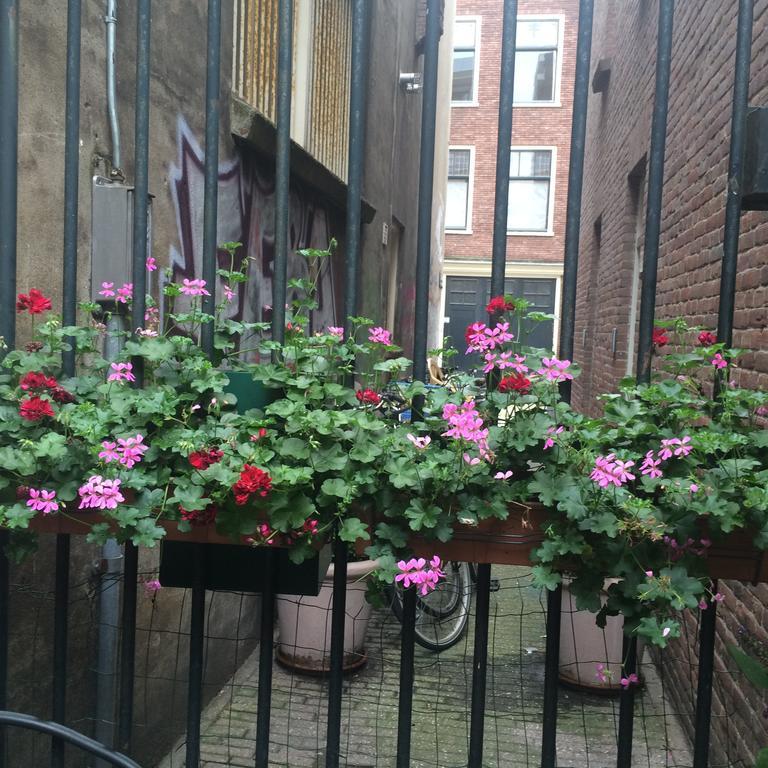 Rose 170 5*