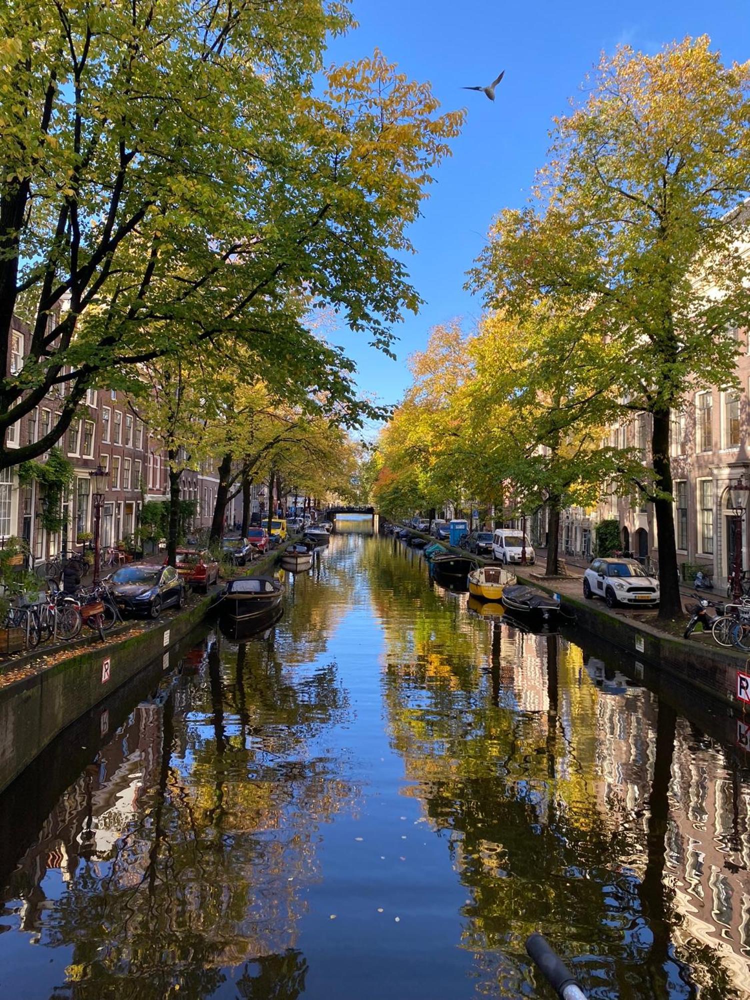 Chez Sybi * Amsterdam