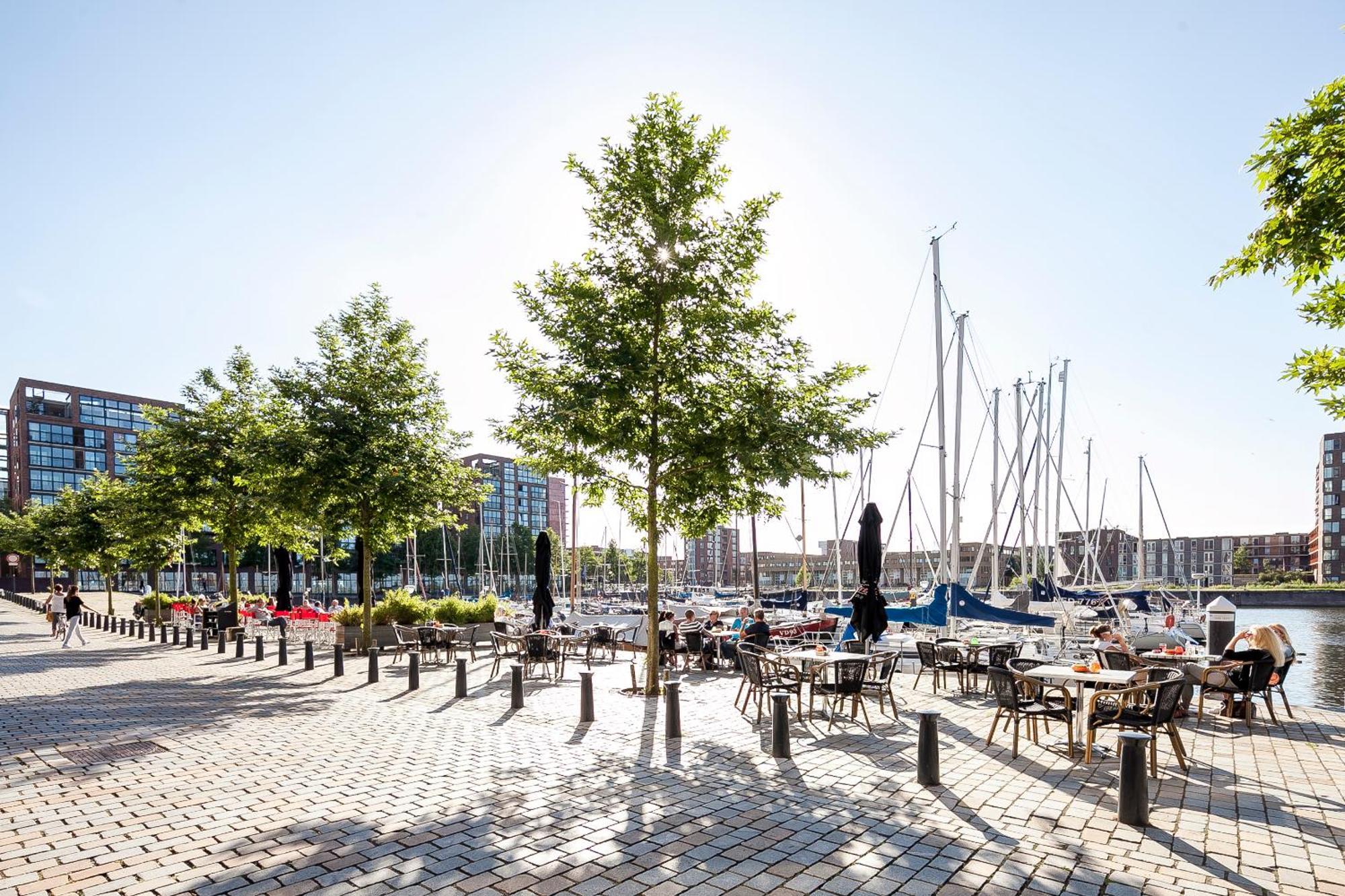 Frühstückspension Rieteiland Amsterdam