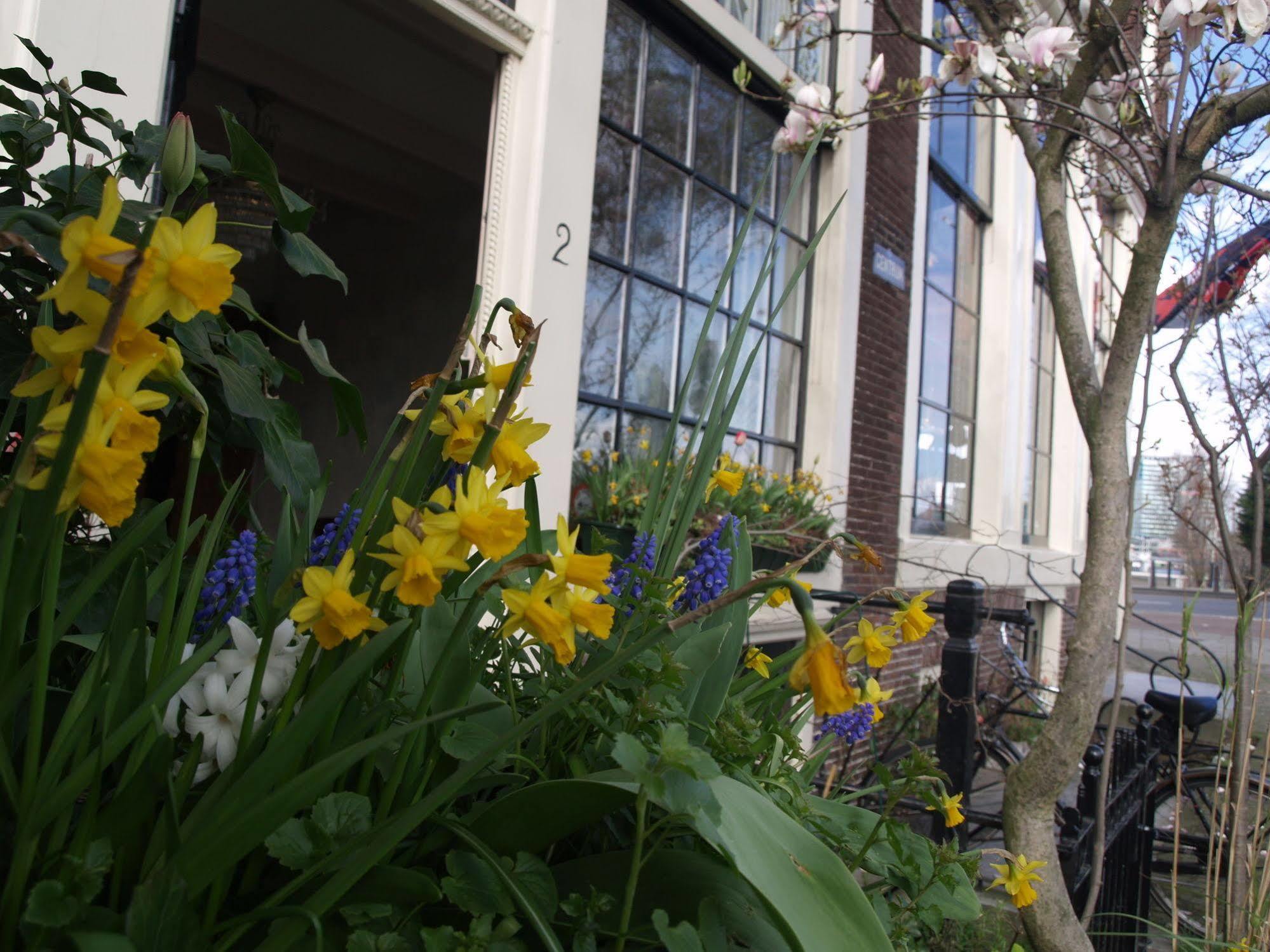 Bed & Breakfast De Baronie Amsterdam