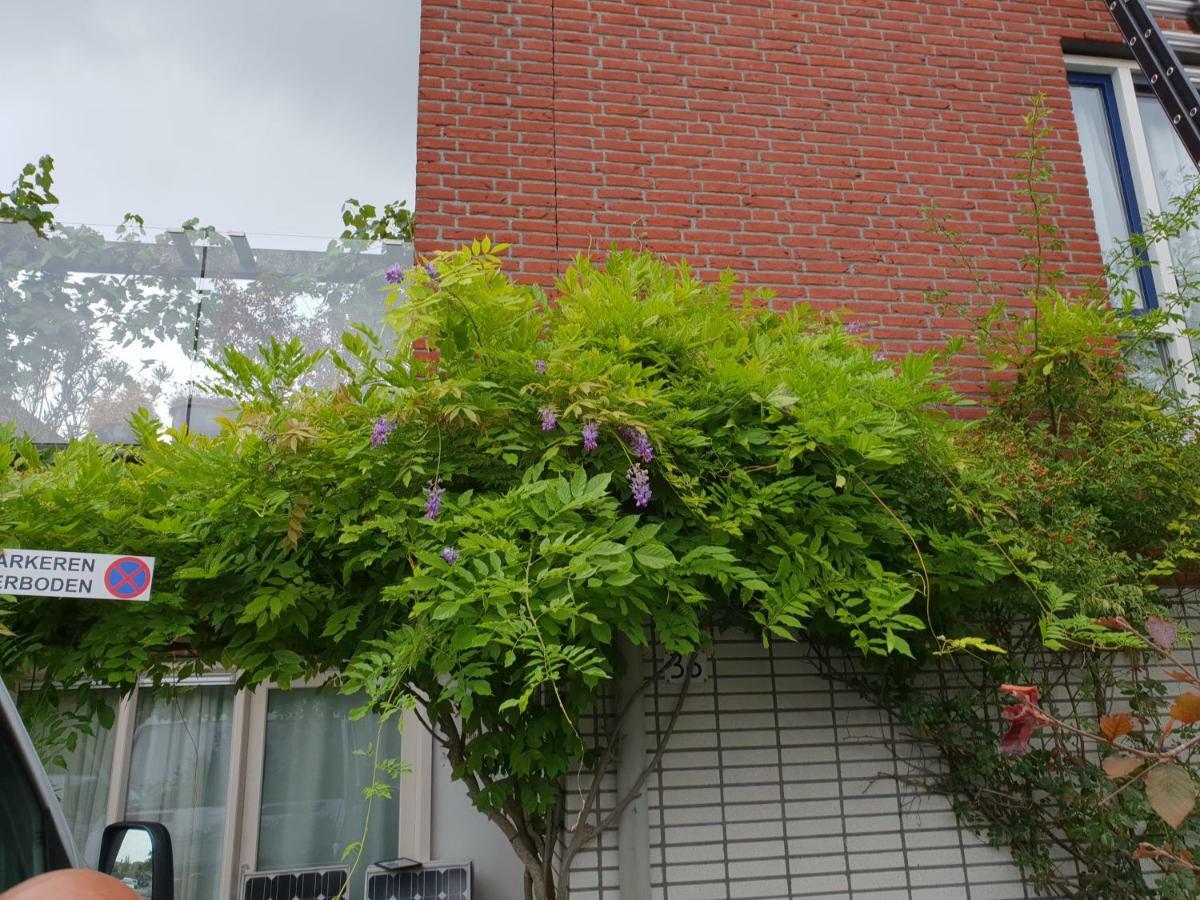Johan's With Roofterrace And Cheap Parking - Since 2014 Homestay