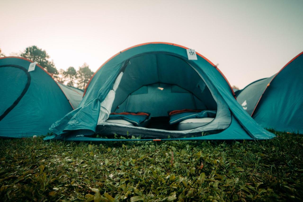 Camping The Esn Kingsday